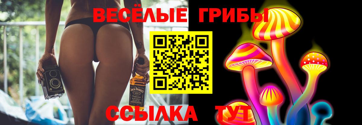 купить  сайты  Псилоцибиновые грибы Magic Shrooms  Вход с VPN  Псилоцибиновые грибы ЛСД  Салехард 